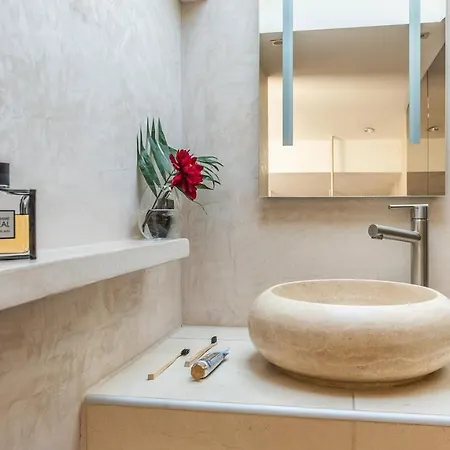Apartment Prestige Sur Louvre Et Tuileries Paris